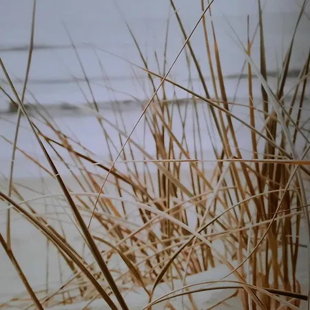 Levensluest Vakantiehuis